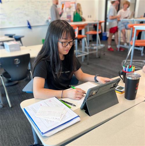 Diana Tran works at her laptop